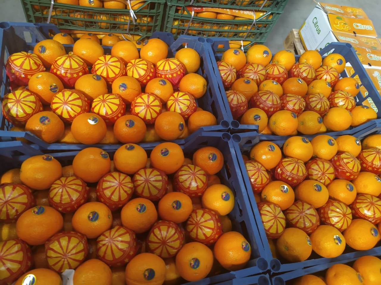 Oranges