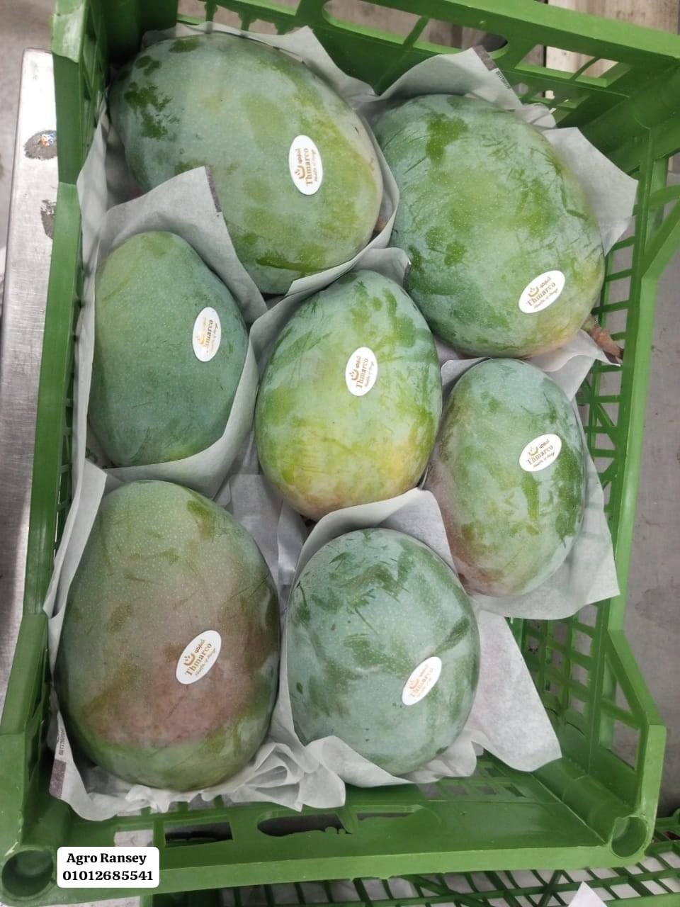 Mangoes