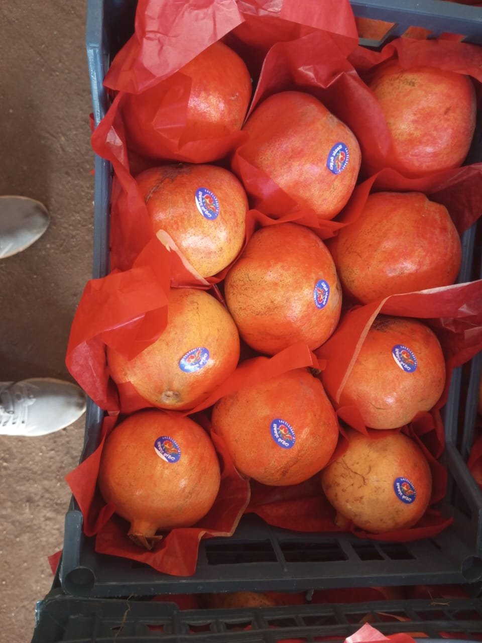 Pomegranates